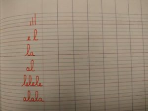 241032980_889174971699480_3236916699357876688_n