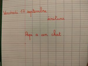 241097911_562486535165587_8616086571860661123_n
