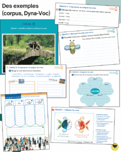 orthographe-lexicale-et-corpus-de-vocabulaire-chat-d-cole