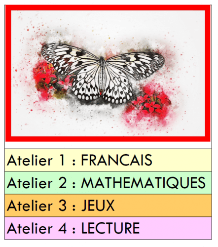 Papillons Papillons